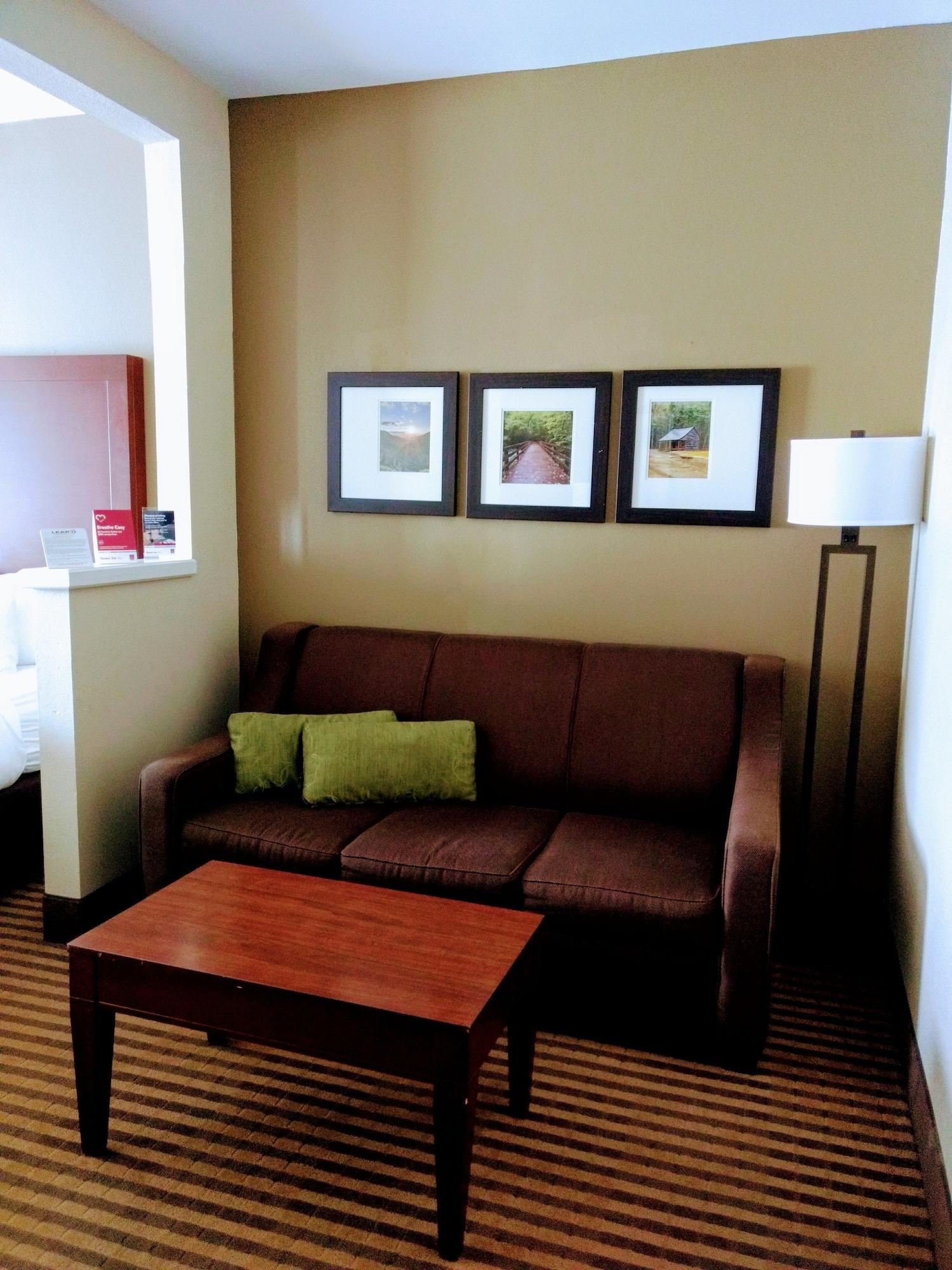 Comfort Suites Johnson City Near University Luaran gambar